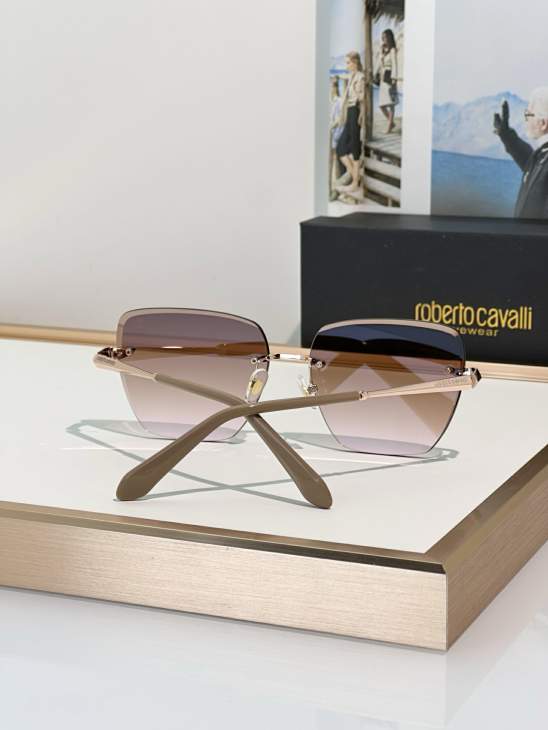 Picture of Roberto Cavalli Sunglasses _SKUfw79279453fw